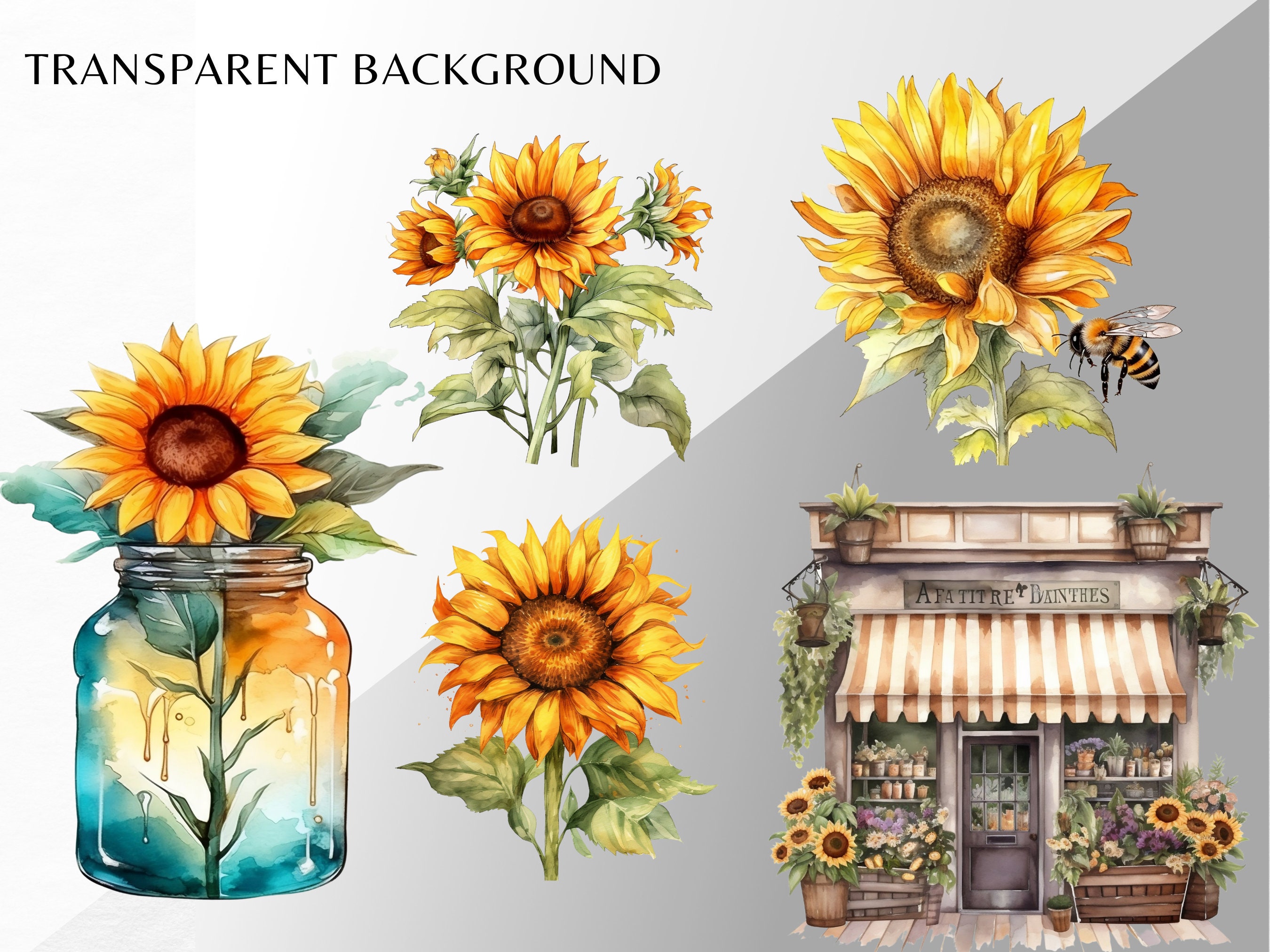 Sunflower Watercolor Clip Art Bundle PNG Floral Bouquets - Etsy