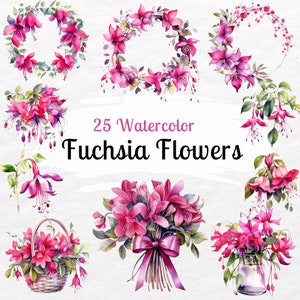 Fuchsia Blumen Clipart Bundle | Aquarell Hochzeitsblumen PNG, Blumensträuße | Blumenkranz, Fuchsia floral png