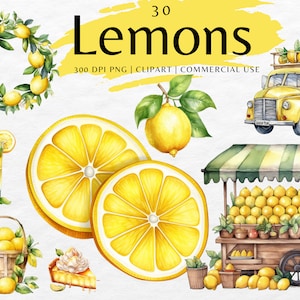 Ensemble d'art de clip d'aquarelle de citron | Clipart de tranche de citron PNG | Images à téléchargement instantané | Un usage commercial