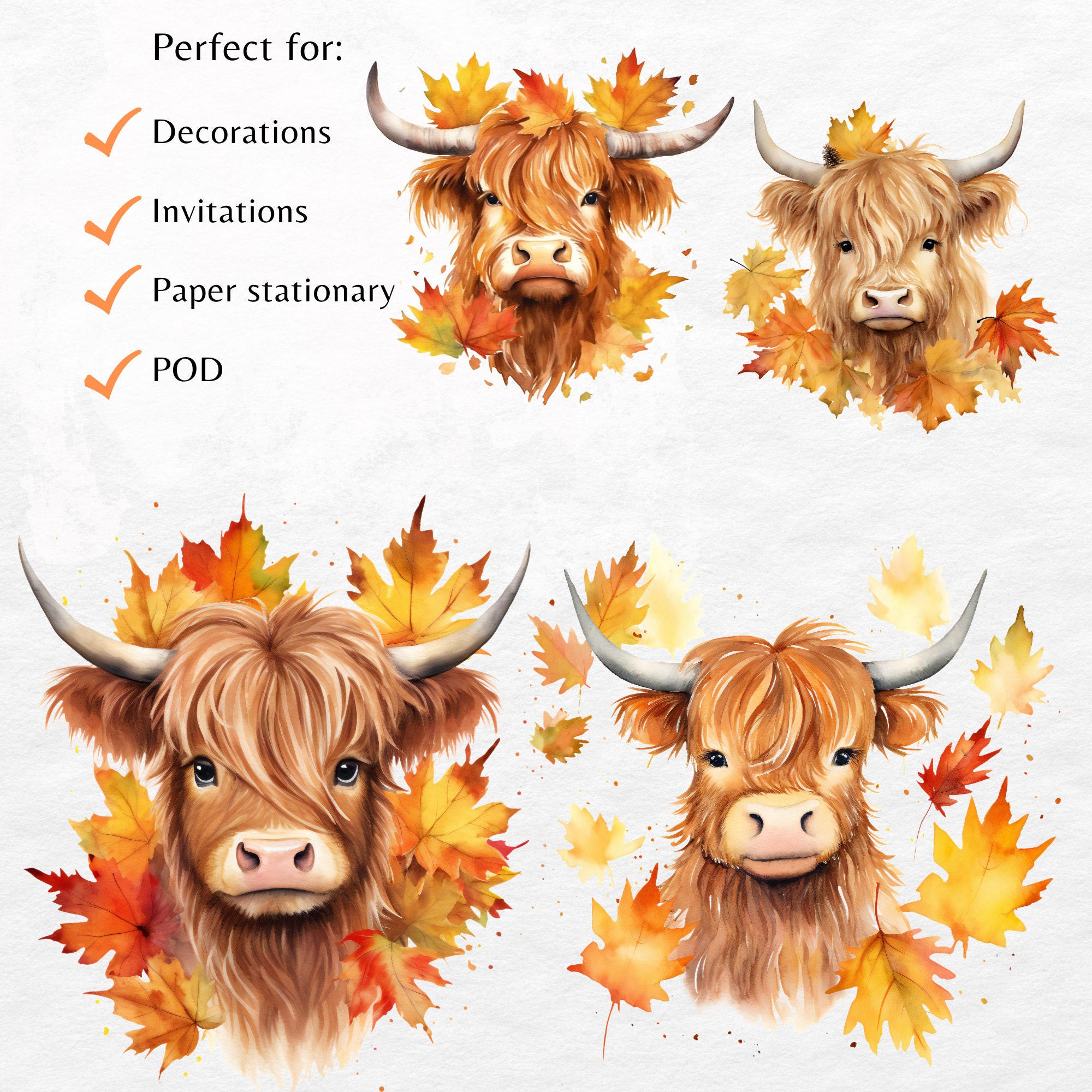 Fall Highland Cow Png Clipart Bundle Cute Baby Highland Cow - Etsy Canada