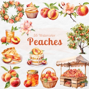 Lot de cliparts aquarelle pêche | Clipart de fruits | clipart couronne de pêchers, pêcher, pêcher png | Utilisation commerciale