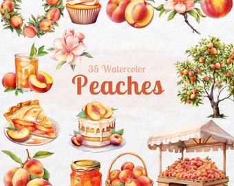 Peach Watercolor Clipart Bundle: Fruit Tree, Wreath, PNG (Commercial Use)