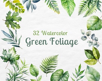 Op de afbeelding: Een verzameling van 32 aquarel illustraties van groen gebladerte, waaronder bladeren, varens en takken. De illustraties zijn in een cirkelvormige opstelling op een witte achtergrond.
