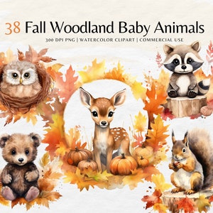 Fall Woodland Baby Animals Watercolor ClipArt |Fall png | Nursery Decor, Autumn, Commercial use