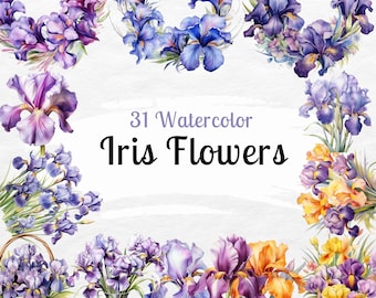 Aquarell Iris Blumen Clipart Bundle: Blumensträuße & Kränze (PNG)