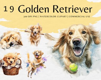 Golden retriever aquarel clipart-bundel: hond png-afbeeldingen (direct downloaden)