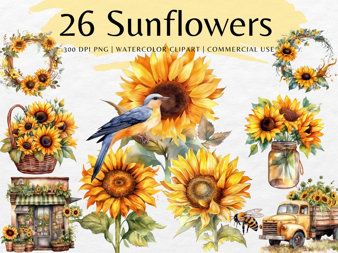 Sunflower Watercolor Clip Art Bundle | PNG Floral Bouquets | Bee ...