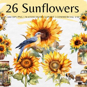 Sunflower Watercolor Clip Art Bundle | PNG Floral Bouquets | Bee ...