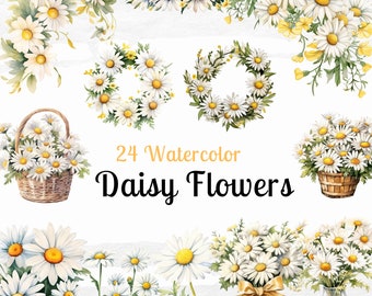 Watercolor Daisy Clipart: Floral Bouquets & Wreaths (PNG Digital Download)