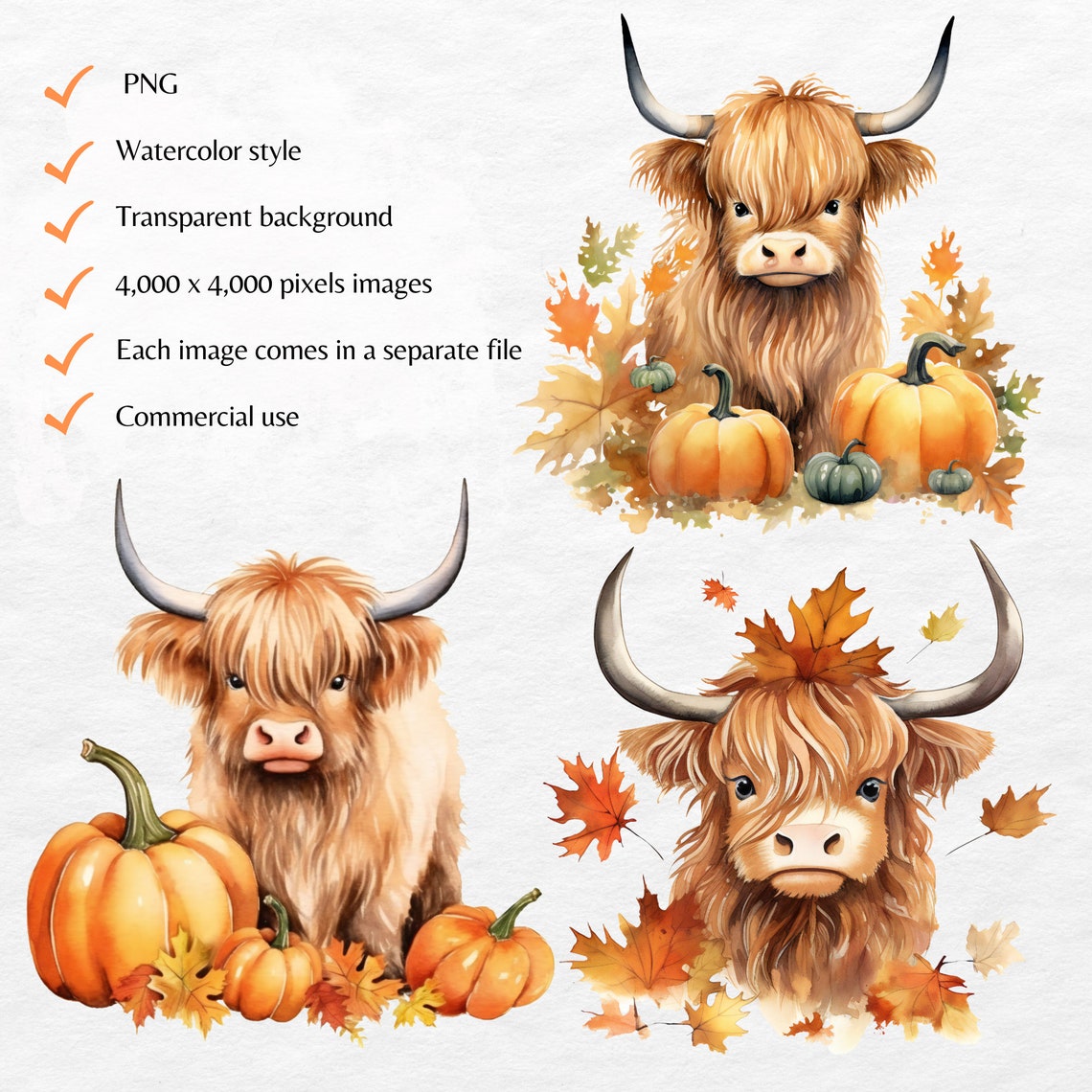 Fall Highland Cow Png Clipart Bundle Cute Baby Highland Cow - Etsy Canada
