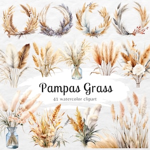Clipart aquarelle de la pampa | Pampas png, usage commercial, boho herbe des pampas clipart, clipart herbe sauvage, fleurs Boho