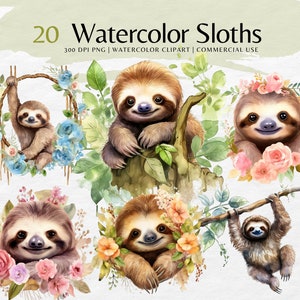 Watercolor Sloth Clipart Bundle with flowers png, digital download | Commercial use, cute animals png
