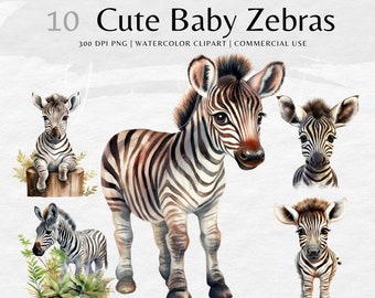 Baby Zebra Aquarell Clipart Bundle: PNG Bilder (Digitaler Download)