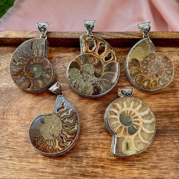 Wholesale Gemstone Pendant Lot Bulk Jewellery Necklace Ammonite Handmade Jewelry big size pendants for Necklaces Healing gemstone Jewelry