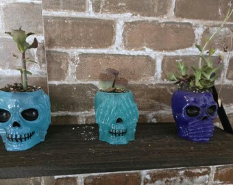 May include: Three skull-shaped planters in light blue, teal, and purple, each containing a small succulent plant. The teal skull features hands covering its eyes, while the purple skull has hands covering its mouth. Each planter has a glossy finish.