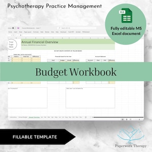 Financial Excel Workbook - Private Practice Management