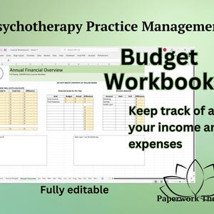 Financial Excel Workbook - Private Practice Management