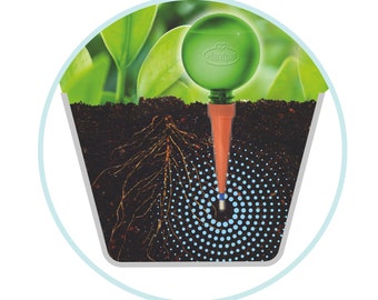 Globes d'arrosage lot de 10, distributeur eau, irrigation plantes