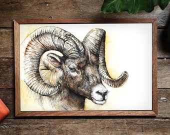 Mouflon Watercolor Fineliner Print Mouflon Print INSTANT - Etsy Mouflon Watercolor Fineliner Print Mouflon Print INSTANT - Etsy