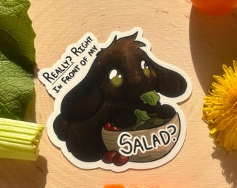 Verkligen? Mitt framför min sallad? Klistermärke | Vinylmeme med kanintema