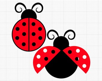 Puede incluir: Dos mariquitas rojas con manchas negras y cabezas negras. La mariquita de la izquierda tiene las alas cerradas, mientras que la mariquita de la derecha tiene las alas abiertas.