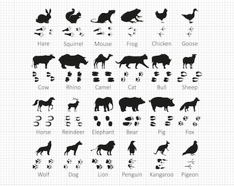 May include: Black and white silhouette illustrations of various animals with their corresponding footprints. The animals include a hare, squirrel, mouse, frog, chicken, goose, cow, rhino, camel, cat, bull, sheep, horse, reindeer, elephant, bear, pig, fox, wolf, dog, lion, penguin, kangaroo, and pigeon.