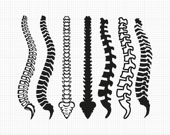 The Spine King Svg, Chiropractor Svg, Back Svg, Bones Svg, Spinal