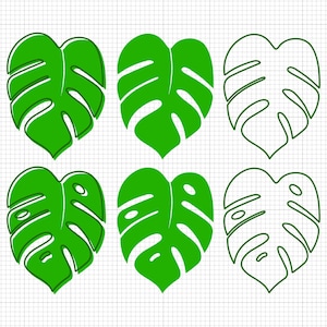 Monstera Leaf Svg Png Dxf Ai Pdf File Download