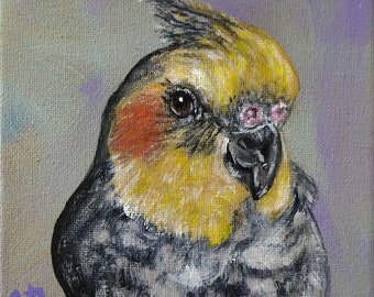 Bird Pet Portraits