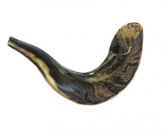Jewish Shofar Trumpet 10"-12", Dark Rams Horn from Israel With Kosher Rabbinate certification.