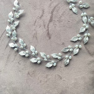 Silver hair vine
