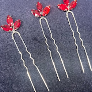 Red & silver hair pins