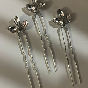 Silver hair pins