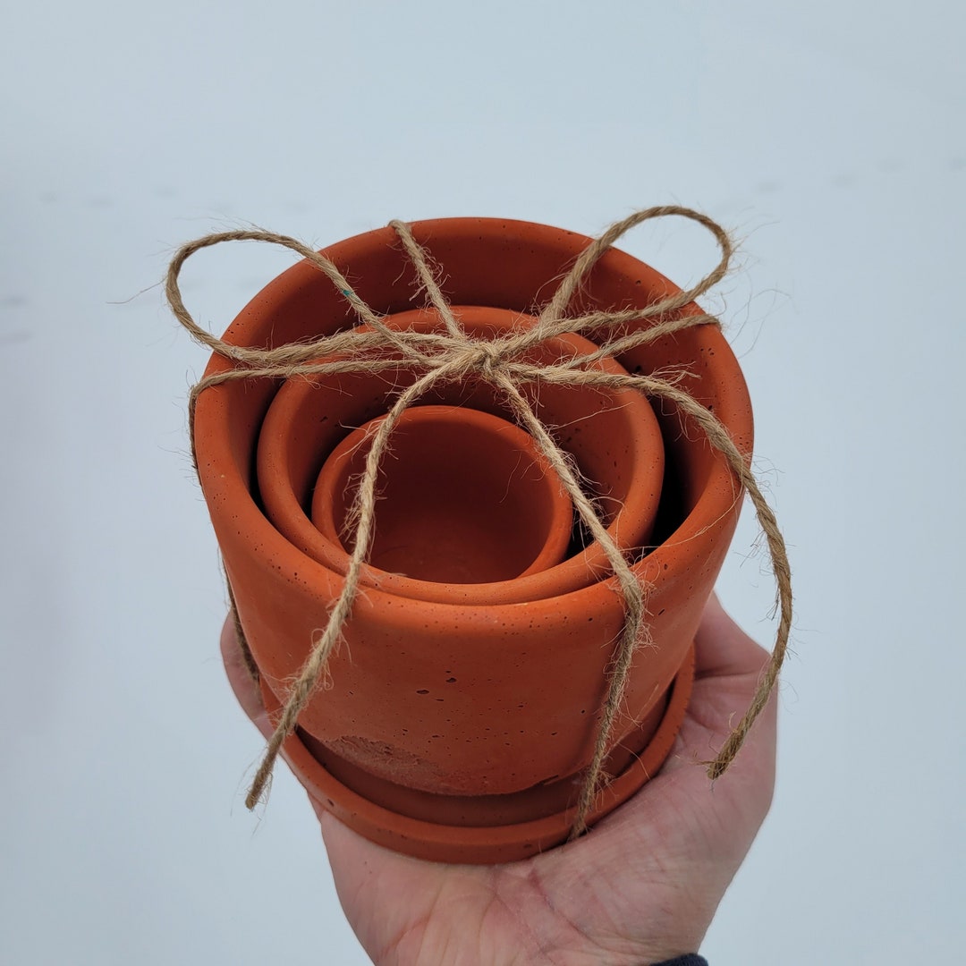 Concrete Tulip Planters Multiple Colors 2 3 or Etsy