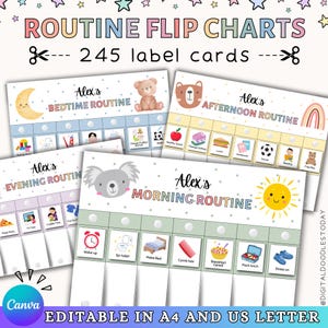 May include: A set of printable routine flip charts featuring 245 label cards. The charts include sections for morning, afternoon, evening, and bedtime routines, personalized with the name Alex, colorful illustrations, and icons for daily tasks.