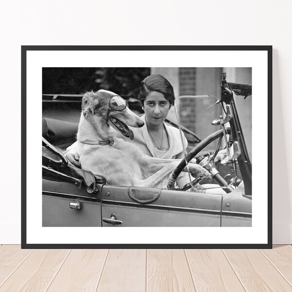 Dog Driving Car - Etsy