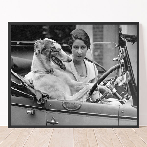 Funny Vintage Woman Photography Print Black and White Dog Driving Car Retro Print, Funny Dog Photograph