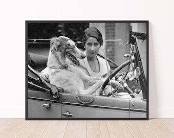 Black and White Dog Driving a Car with Woman Funny Vintage Photo Retro Photography Print