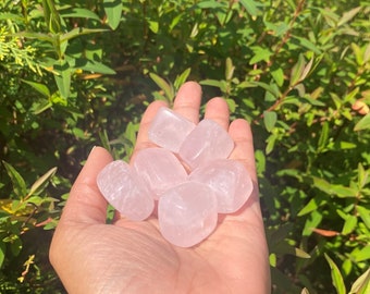 May include: A hand holding a collection of seven tumbled rose quartz stones. The stones are a pale pink color and have a smooth, polished surface.
