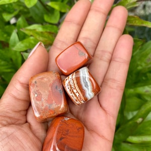 Könnte beinhalten: Vier polierte rote Jaspissteine ​​unterschiedlicher Formen und Muster werden in einer Hand gehalten. Die Steine ​​zeigen Schattierungen von Rot, Braun und Weiß mit einzigartigen Maserungen und Texturen. Der Hintergrund zeigt grünes Laub.