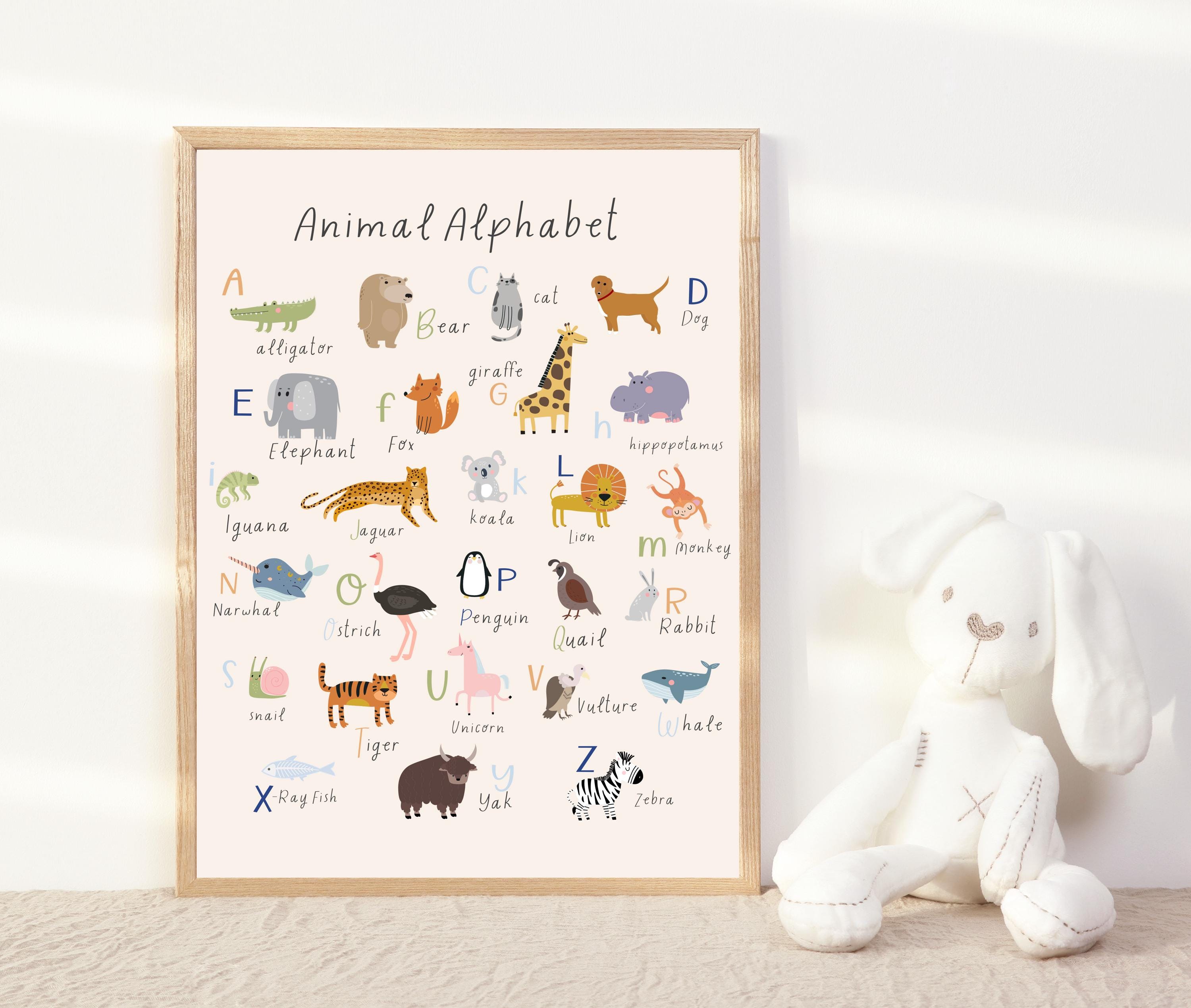 16x20 Animal Alphabet - Etsy