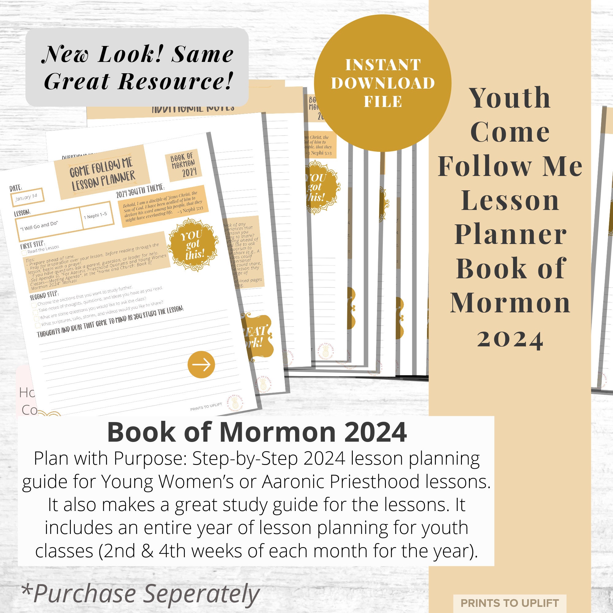 Come Follow Me Youth Lesson Planner 2024 Book of Mormon Young Women