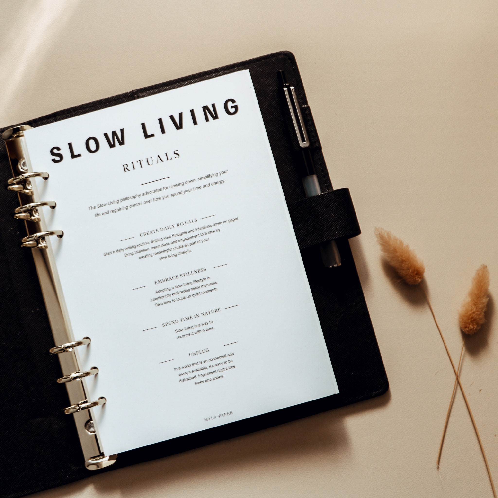 Insert Budget – Slow Life Planner