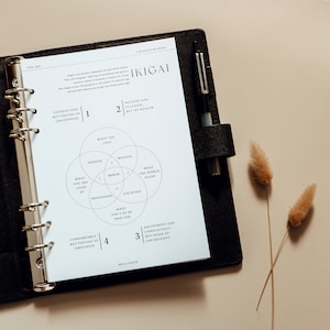 May include: A black planner with a white Ikigai diagram, a pen, and dried decorative plants. The diagram includes circles labeled "Passion", "Mission", "Vocation", and "Profession". The text reads "A Reason for Being".