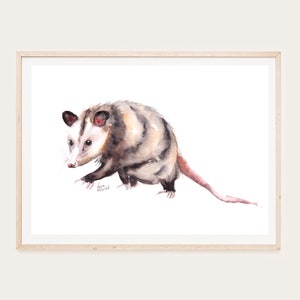 Pintura de acuarela de zarigüeya, descarga digital instantánea, imprimible, arte de pared, sala de estar, decoración del hogar, -KarenMorovichDesigns