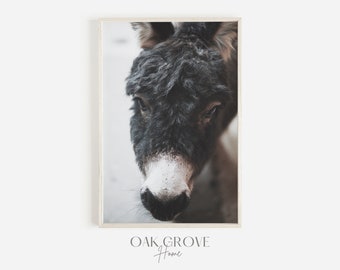 Brown Donkey Poster, Farm Animal Print, Donkey Photography, Modern Farmhouse, Neutral Home Decor, Donkey Digital Art, Donkey on Farm Print