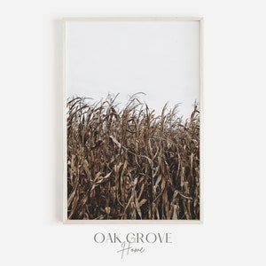 Dried Corn Stalks in Fall, Neutral Farmhouse Decor, Rustic Corn Print, Dried Corn Wall Art, Autumn Farm Print, Country Scenery, Fall Corn