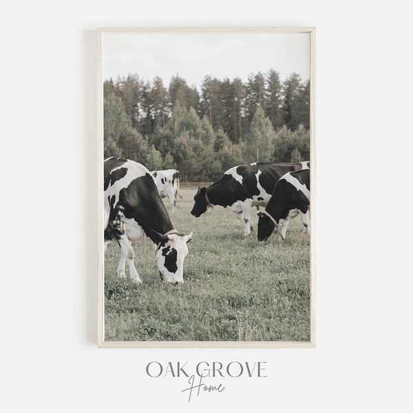 Grazing Cows Wall Art, Cows in Field Photo, Farmhouse Decor, Wall Art for Ranch, Country Style Print, Rustic Cattle Photo, Ranch Landscape