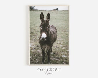 Donkey Printable, Farmhouse Photo, Modern Farm Decor, Donkey Photography, Rustic Country Print, Farm Donkey Wall Art, Donkey Poster Print