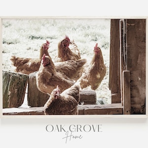 Chickens In Coop, Herd of Chickens Photo, Red Chicken Poster, Muted Colors, Farmhouse Chicken Art, Chicken Digital Print, Rustic Chicken Art